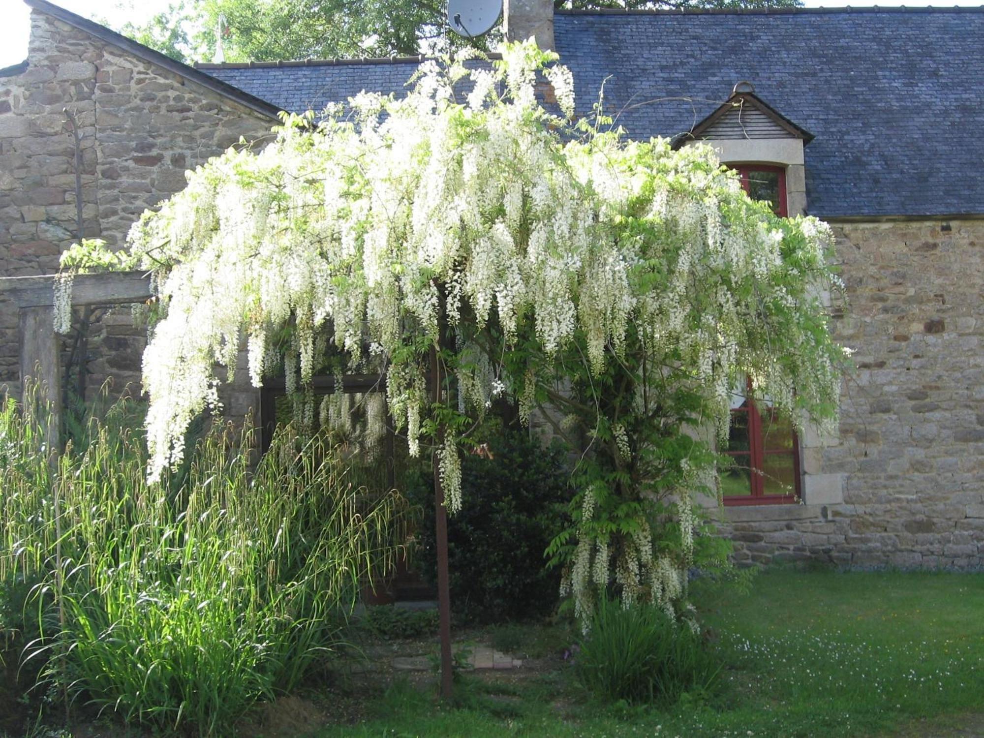 Bed and Breakfast La Guyonnais à Quévert Extérieur photo